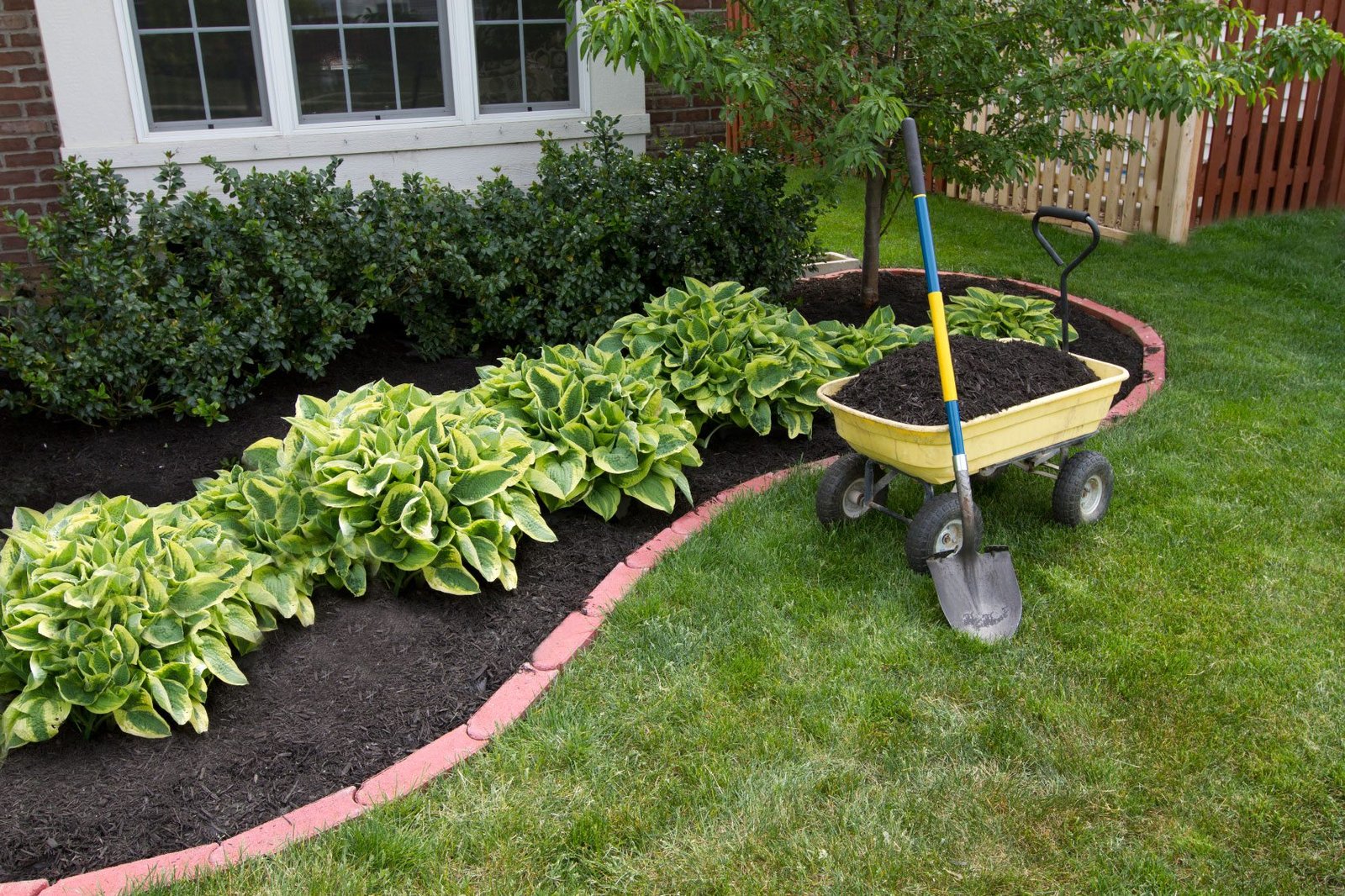 garden mulch